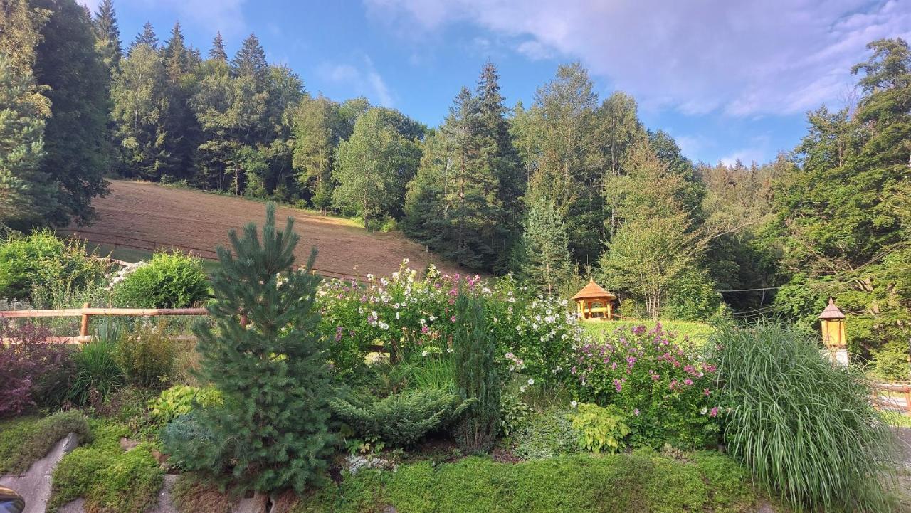 U Vesele Lisky Hutisko Exterior foto