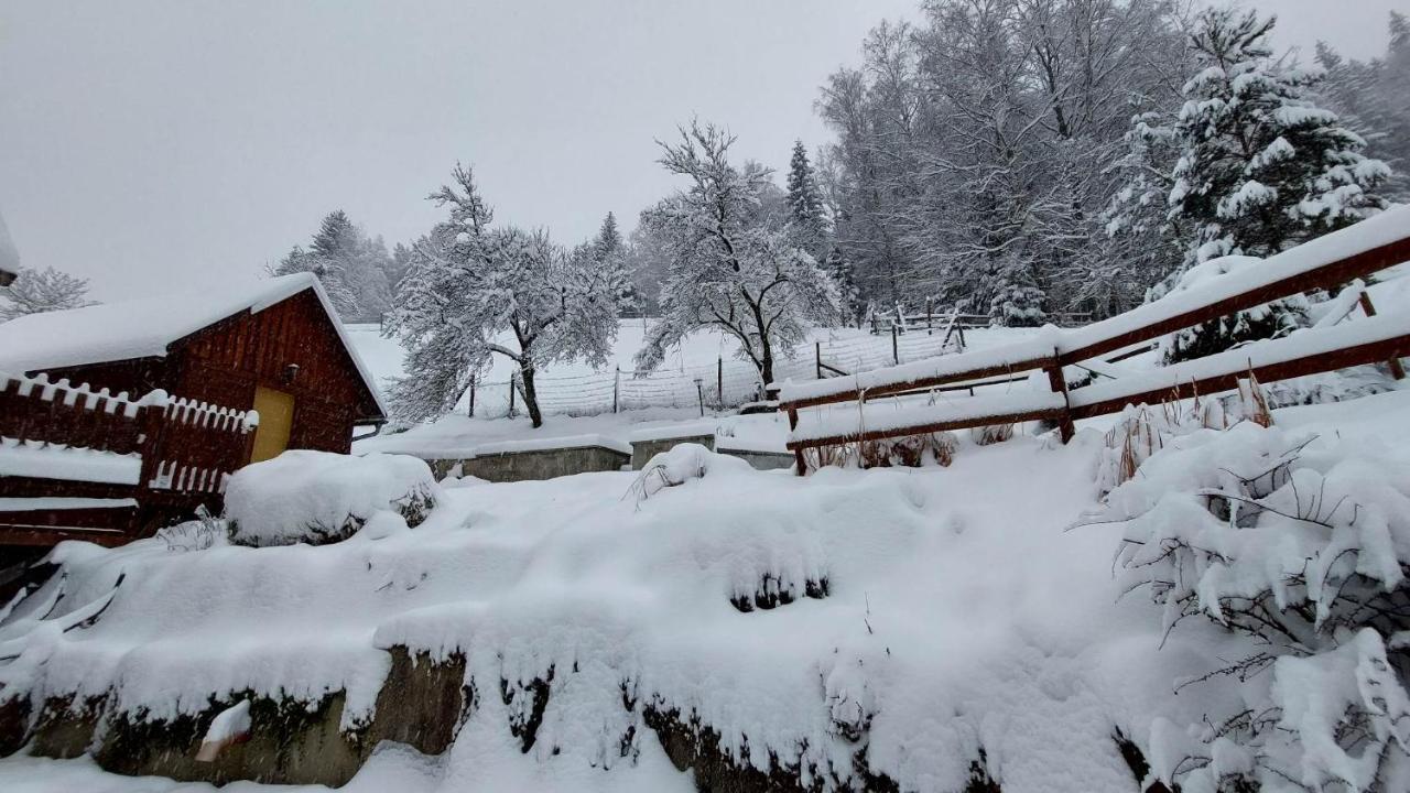 U Vesele Lisky Hutisko Exterior foto