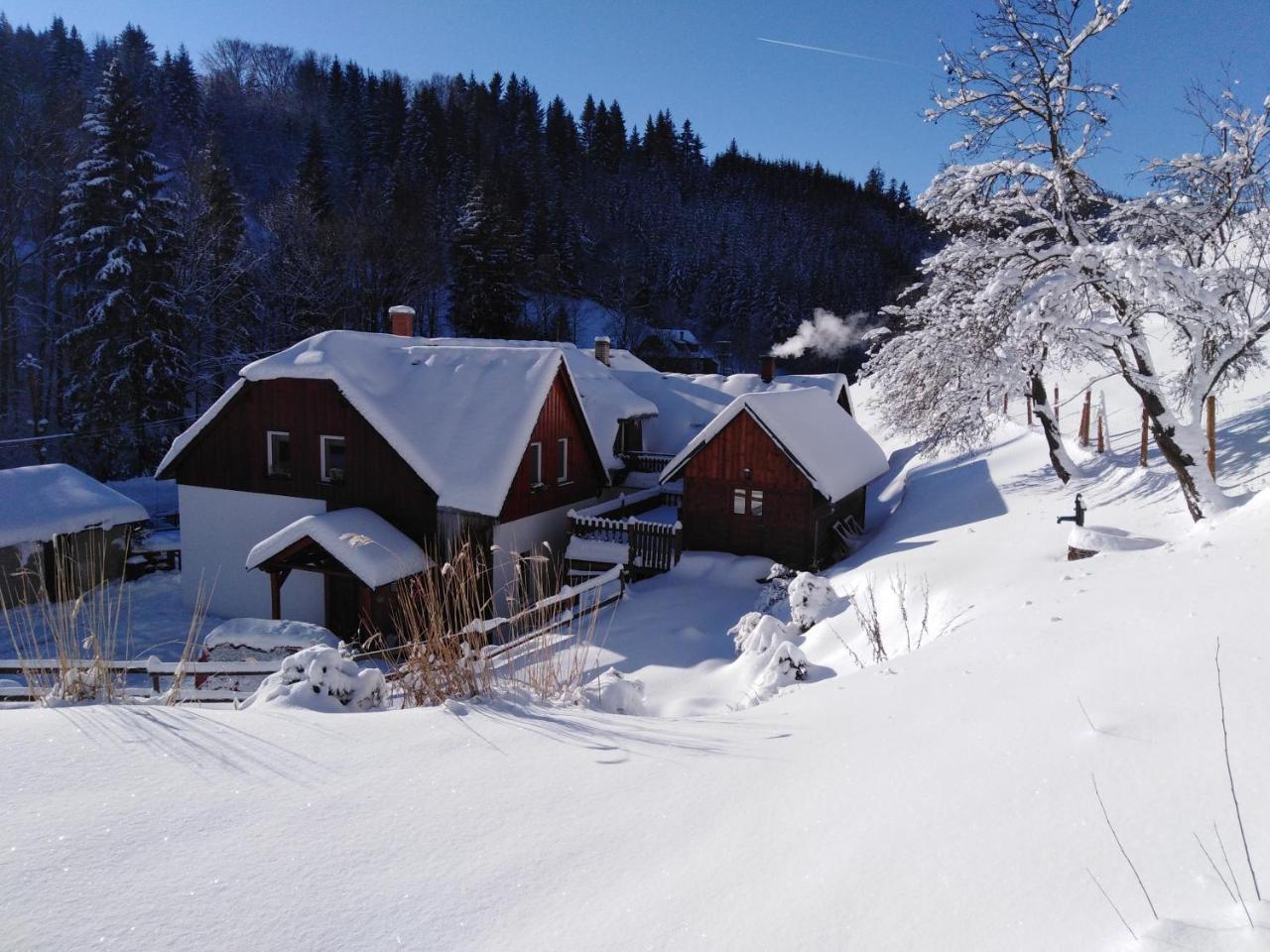 U Vesele Lisky Hutisko Exterior foto