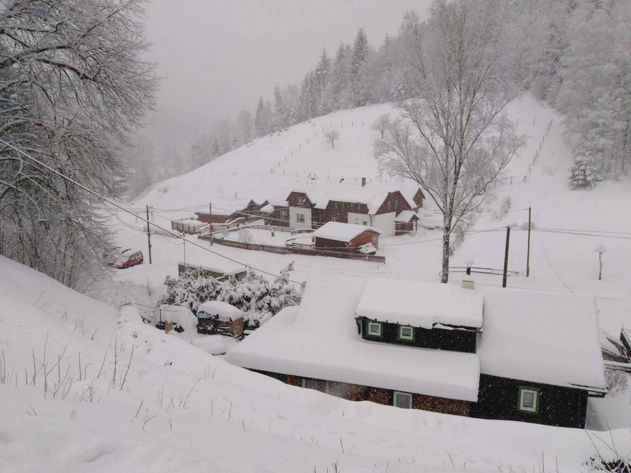 U Vesele Lisky Hutisko Exterior foto